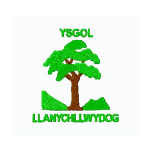 Llanychllwdog School